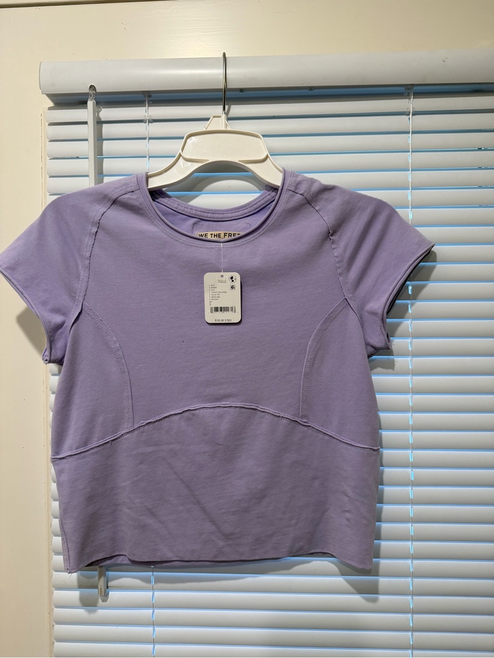 We The Free Protagonist Cropped Cap Sleeve Tee